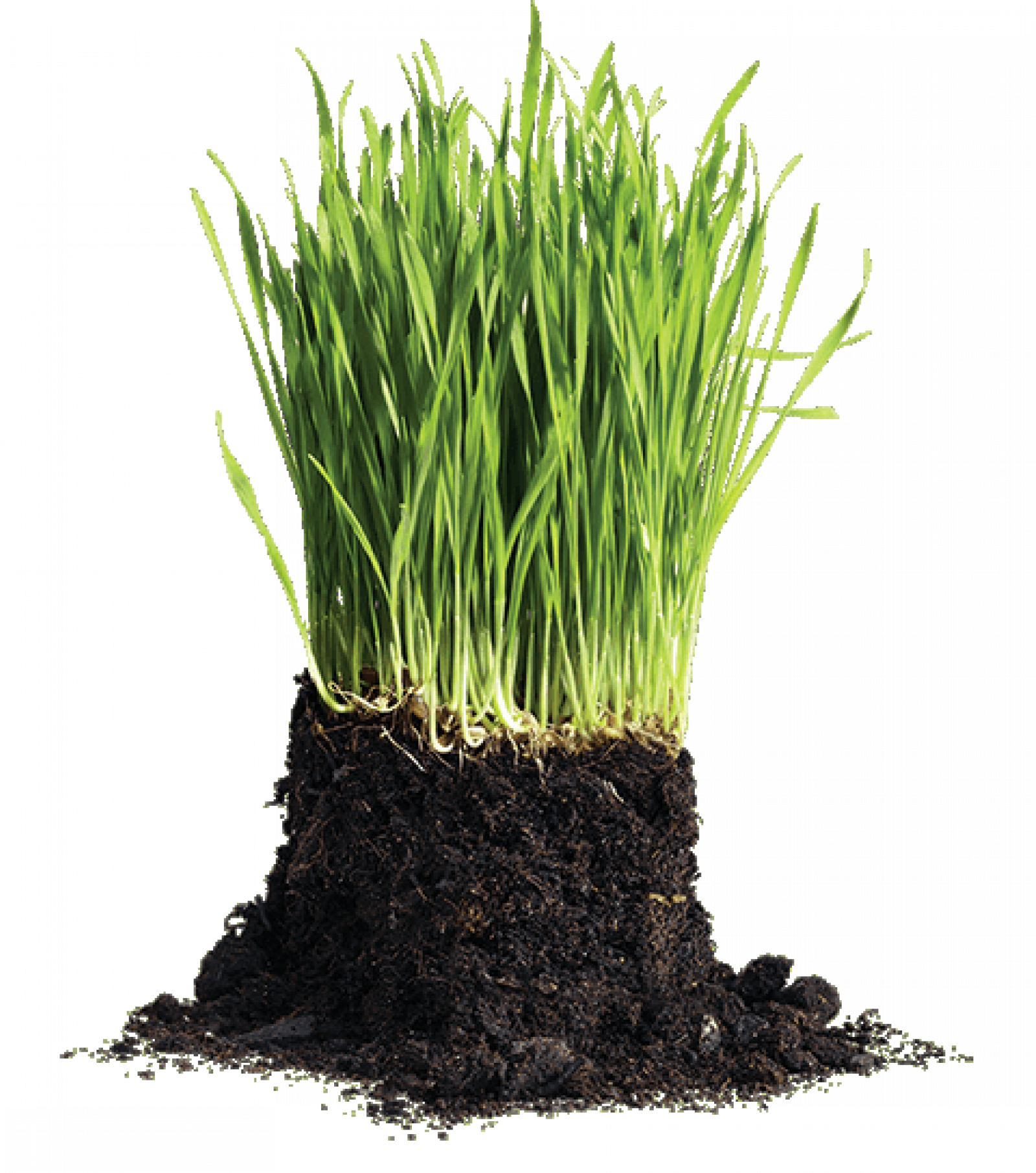 Greens Blend Hawaiian Earth Products greens-blend-hawaiian-earth-products